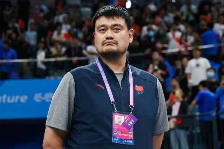 杨晨晨剧情